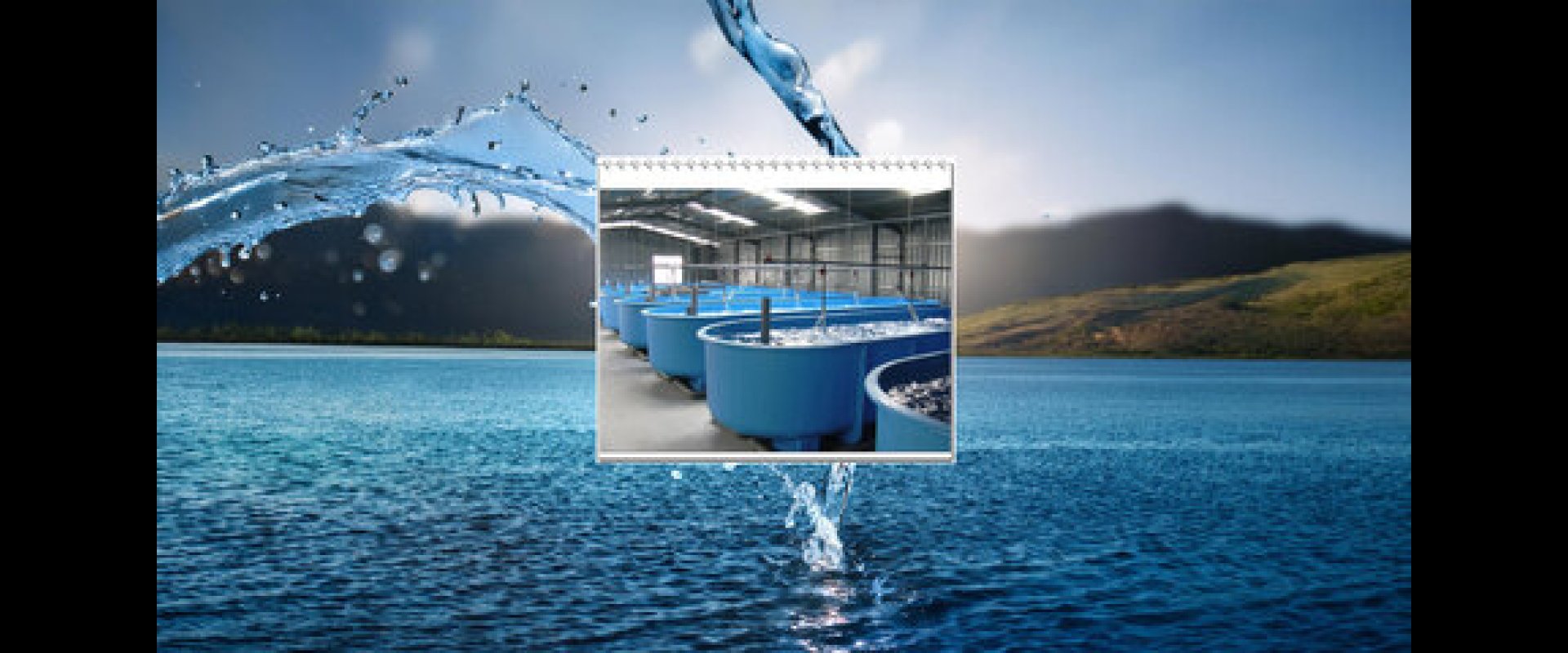 「四十年堅持，只為給台灣更好的綠能生活」